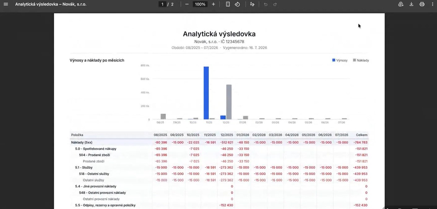 PDF report analytické výsledovky s grafem výnosů a nákladů po měsících a rozpadem položek